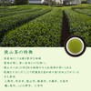 Nodayama Tea, Deep Steamed Tea, Japanese Tea, Green Tea, Sencha,