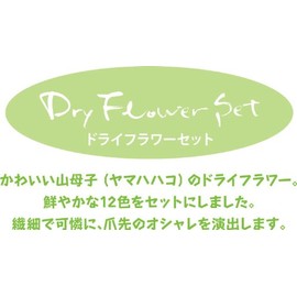 BEAUTY NAILER DRF-2 Dried Flower Set