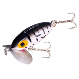 Arbogast Jitterbug Topwater Bass Fishing Lure - Excellent for Night Fishing, Coach Dog, G635 Clicker (2 in, 1/4 oz)