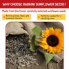 Babkini Semechki Sunflower Seed Salted - Roasted Sunflower Seeds with