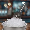 HIC Bar Slotted Ice Scoop, 18/8 Stainless Steel, 8.75-Inch