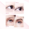 Eyelash Lifting Set, Scdom Lash Lifting Set and Brow Lifting