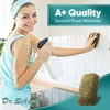 DR. SCHAVIT Perfect Scour 2 Pack Scrub Sponges for Kitchen