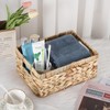 OGANAZI Natural Water Hyacinth Baskets with Handles, Woven Wicker Storage