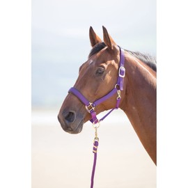 Shires Topaz Nylon Pony/Horse Headcollar - Purple Pony