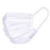 Iris Ohyama Mask Non-woven Pleated Mask, 120 Pieces, Regular Size,