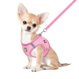 FEimaX Dog Harness and Leash Set, No Pull Breathable Soft Mesh Puppy Vest Harness Reflective Adjustable Pet Harnesses for Small Medium Dogs and Cats - Outdoor Easy Control for Walking