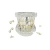 Modelo de implante de dientes, para enseñanza, modelo de enfermedad,