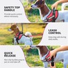 Service Dog Vest, DEWVIE Dog Harness and Leash Set with