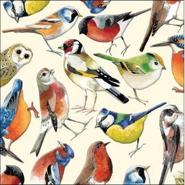 Woodmansterne General Male/Female Blank/Birthday Card for Men/Women - British Birds By Emma Bridgewater - Eco-Friendly & Recyclable
