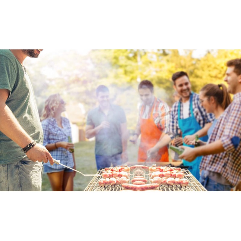 SMETA Pulse Igniter 6 Output Terminals, Suitable for A Variety