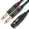 JOLGOO XLR Female to Dual 1/4" TS Mono Y Splitter