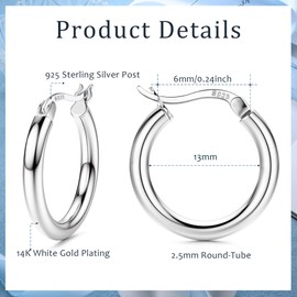 FIOROYAL Hoop Earrings 925 Silver for Women Earrings 925 Silver Hoop Earrings Hypoallergenic Large Medium Small Earrings Hoop for Girls 13/15/20/25/30/40/50 mm, Silver