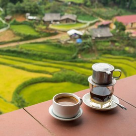 Premium Kaya Kopi Lam Dong From Bao Loc Region, Lam Dong, Vietnam - Energy Robusta Arabica Roasted Whole Coffee Beans, 12 Ounce