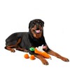 Midlee Hide a Toy Carrot Easter Dog Toy