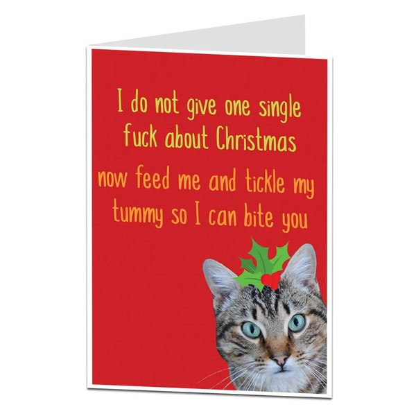 Funny Offensive Cat Christmas Card For The Owner Lover Perfect For Husband Wife Mum & Dad Blank Inside To Add Your Own Personal Xmas Greeting
