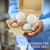 HavRixor Goose Egg Cartons 4 Grids 20 Pack- Holds Up