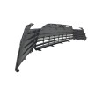 Texas E Parts Fits 2021-2024 Camry XLE LE Grille Front