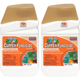 Bonide Captain Jack Copper Fungicide 16 oz Concentrated Plant Disease Control Solution for Organic Gardening (Pack of 2)