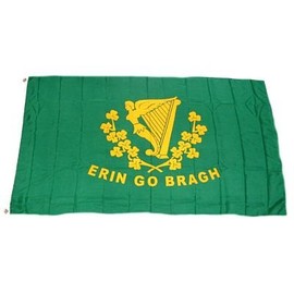 Flag of Ireland Erin Go Bragh 90 x 150 cm