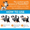 ThunderShirt for Dogs, Small, Heather Gray Classic - Dog Anxiety