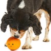 Petface Latex Orange Soft Chew Dog Toy, Small
