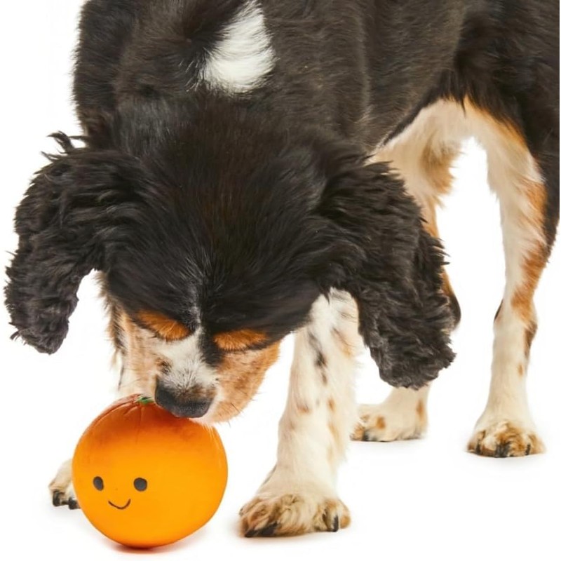Petface Latex Orange Soft Chew Dog Toy, Small