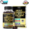 DORADO NUTRITION Shilajit Gummies with Sea Moss, Ashwagandha & Lions