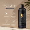 Shampoo Cola De Caballo 1lt | Crecimiento Natural Y Brillo