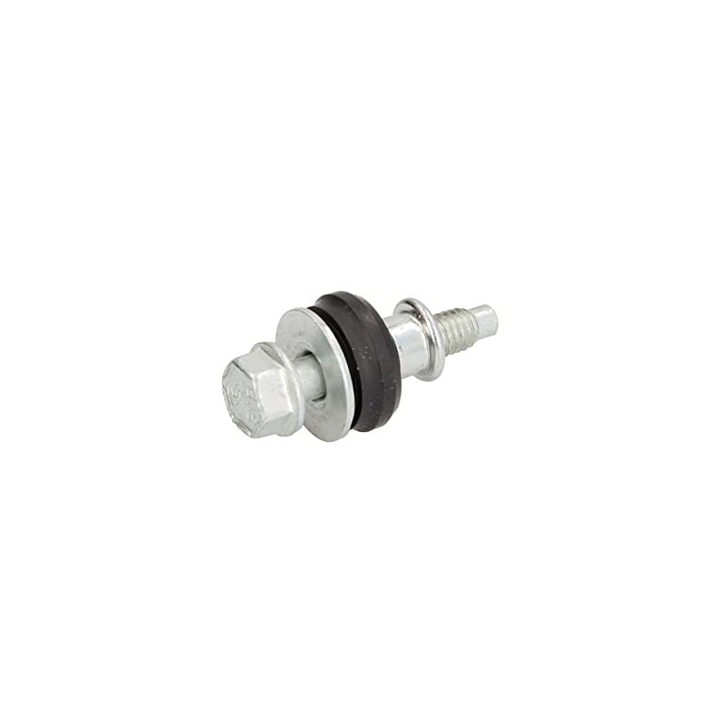 Elring 006.420 Screw, Cylinder Head Cover
