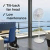 Air King 9119 18-Inch 3-Speed Commercial Grade Adjustable Oscillating Pedestal