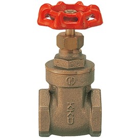 Kakudai Gate Valve 6540-POS20