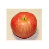 GuCra Set of 2 Realistic Apples Food Sample Fruit Model
