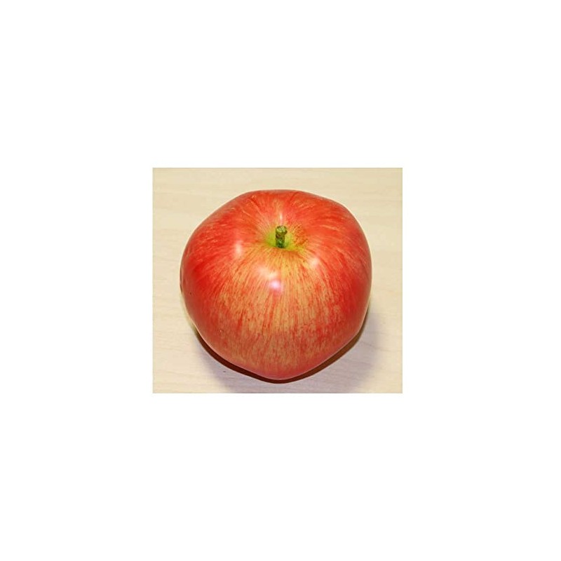 GuCra Set of 2 Realistic Apples Food Sample Fruit Model