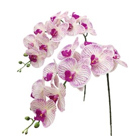 Fnize Real Touch Orchid Stems Latex Flowers Artificial Phalaenopsis Branches 9 Large Petals 38 Inches 2pcs (Purple Pattern)