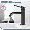 FORIOUS Bathroom Tap, Washbasin Tap, Black Single Handle Mixer Tap
