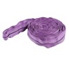 Lifting Sling Hoist Webbing 1T Polyester Rigging Strap Purple for