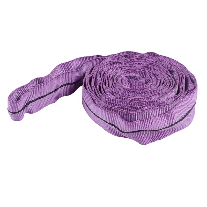 Lifting Sling Hoist Webbing 1T Polyester Rigging Strap Purple for