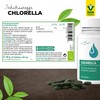 Raab Vitalfood Bio Chlorella-Tabletten aus reinen Micro-Algen, 200 Stück, vegan,