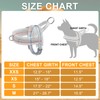BEAUTYZOO Dog Harness for Small Dogs, No Pull Dog Harness