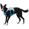 Ruffwear, Swamp Cooler Dog Harness, Lightweight with Evaporative Cooling for