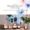 Pecksniff's De-tox Luxury Scented Candle | 1 Wick, 100 g/3.5