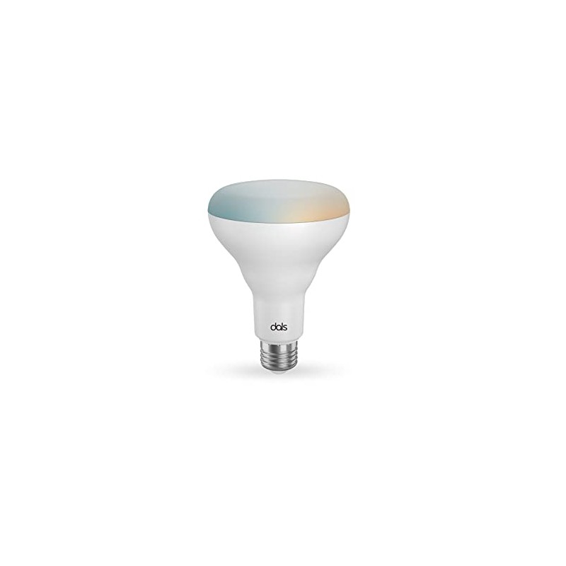DALS Connect Pro Smart BR30 LED Bulb