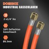 DOMINOX Industrial Gas Hose 500 cm with Clamp 2 x