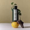 Longtake [롱테이크]샴푸 (샌달우드/블랙티앤피그/바질앤베티버) [Longtake] Shampoo (Sandalwood/Black Tea and Fig/Basil and