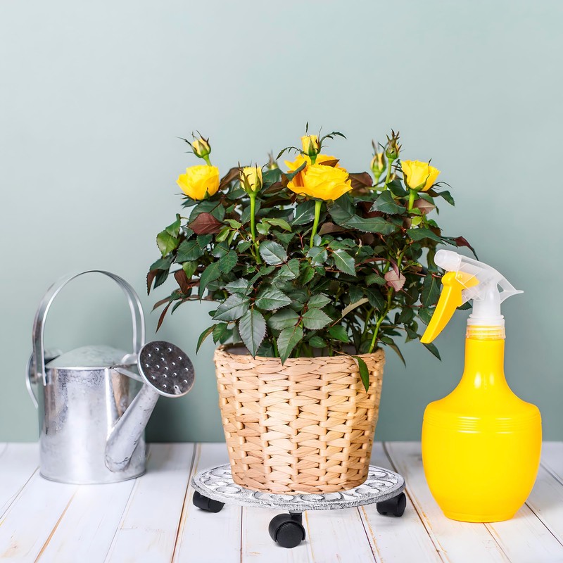 2pcs Heavy Duty Cast Iron Flowerpot Holder Plant Caddy 11