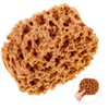 Large Sea Sponges for Artists, Unbleached Texture Sponge Texture Patch