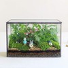 Glass Plants Terrarium with Lid,Rectangle Black Pot Box for Indoor
