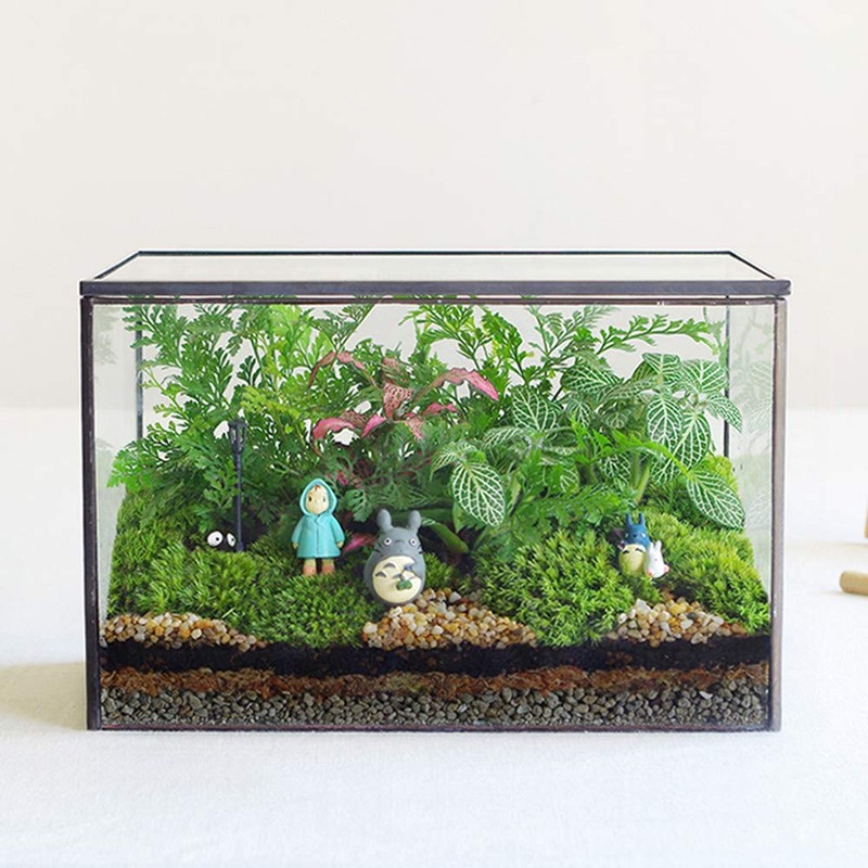 Glass Plants Terrarium with Lid,Rectangle Black Pot Box for Indoor