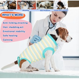 Wabdhaly Wabdhaly Recovery Suit for Dogs,Dog Cone Alternative Zipper Surgery Suit Female Spay,Soft Dog Surgery Suit for Anti Licking,Breathable Surgical Suit for Dogs Female Spay